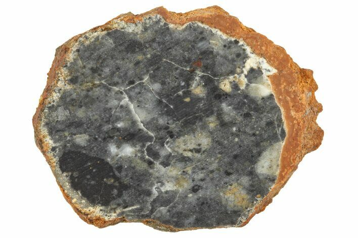 Lunar Meteorite ( g) Slice - Bechar #360561